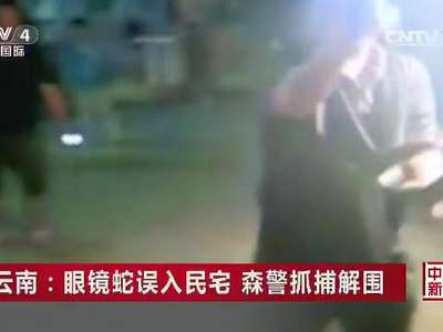 [视频]云南：眼镜蛇误入民宅 森警抓捕解围