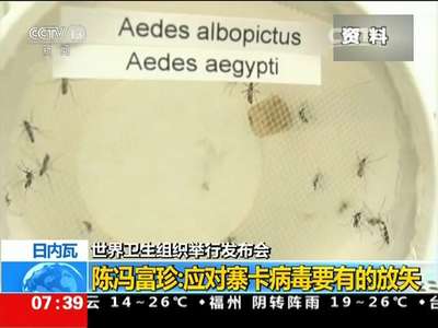 [视频]日内瓦 世界卫生组织举行发布会 陈冯富珍：应对寨卡病毒要有的放矢