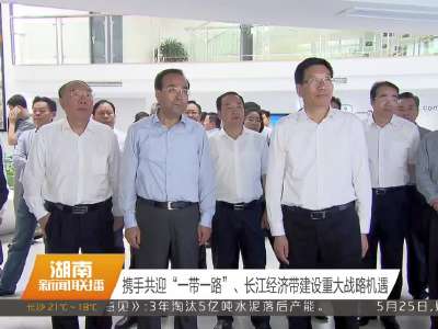 湖南省党政代表团考察重庆 
