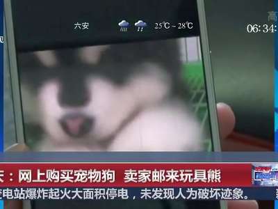 [视频]重庆：网上购买宠物狗 卖家邮来玩具熊