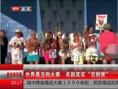 [视频]世界最丑狗大赛 名副其实“丑到家”