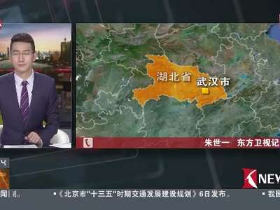 [视频]湖北武汉：力争今晨恢复正常秩序