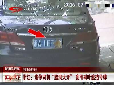 [视频]违停司机“脑洞大开” 竟用树叶遮挡号牌