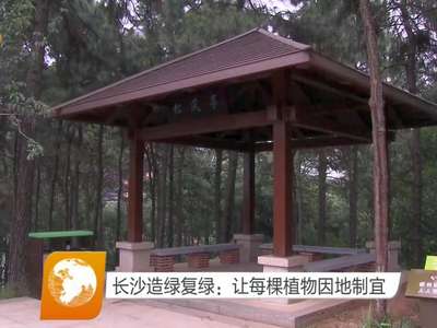 长沙造绿复绿：让每棵植物因地制宜