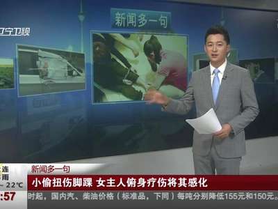 [视频]小偷扭伤脚踝 女主人俯身疗伤将其感化