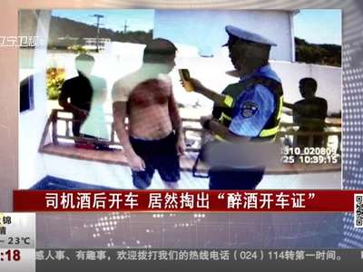[视频]司机酒后开车 居然掏出“醉酒开车证”