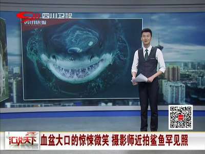[视频]血盆大口的惊悚微笑 摄影师近拍鲨鱼罕见照