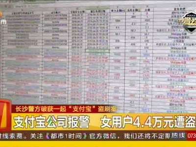 支付宝公司报警 女用户4.4万元遭盗刷