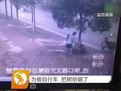 为偷自行车 把树给锯了