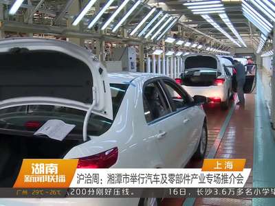 沪洽周：湘潭市举行汽车及零部件产业专场推介会