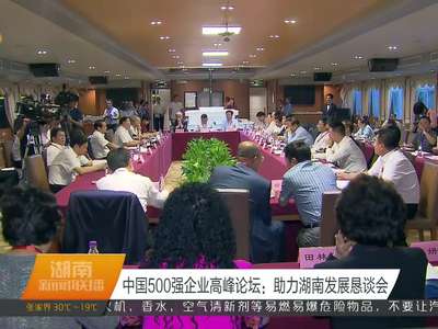 中国500强企业高峰论坛：助力湖南发展恳谈会