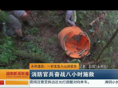 永州道县：一驴友坠入山涧受伤 消防官兵奋战八小时施救
