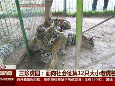 三珍虎园：面向社会征集12只小老虎名字