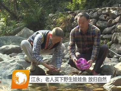 江永：老人买下野生娃娃鱼 放归自然