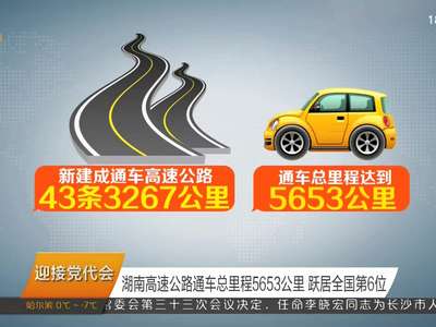 新闻发布：湖南省公路运输实现三个“百分百”