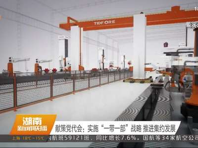 献策党代会：实施“一带一部”战略 推进集约发展