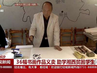36幅书法作品义卖 助学湘西贫困学生
