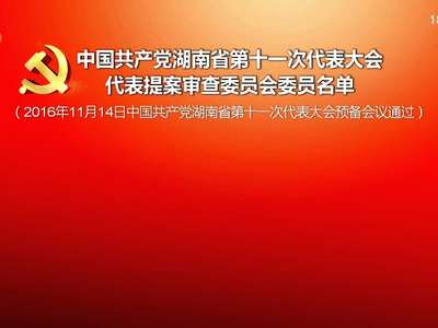 中国共产党湖南省第十一次代表大会代表提案审查委员会委员名单