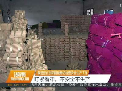 戴道晋在浏阳醴陵暗访检查安全生产工作 盯紧看牢，不安全不生产