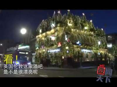 [视频]最具节日气息酒吧：90棵圣诞树用2.1万个灯泡装饰