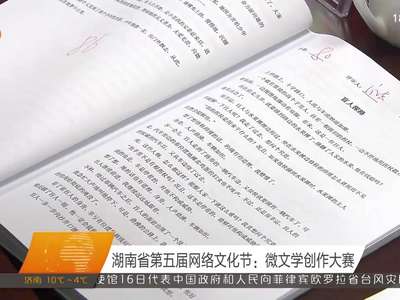 湖南省第五届网络文化节：微文学创作大赛