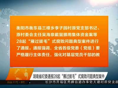 湖南省纪委通报28起“雁过拔毛”式腐败问题典型案件