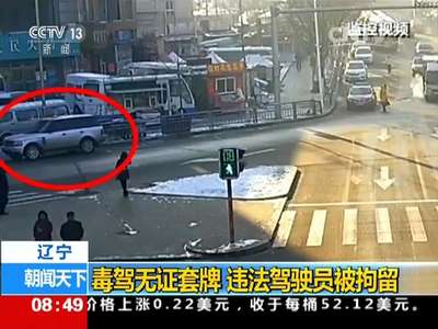 [视频]辽宁：毒驾无证套牌 违法驾驶员被拘留