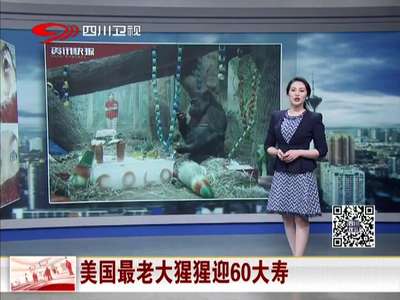 [视频]美国最老大猩猩迎60大寿 比平均寿命多活20年