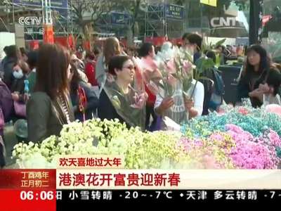 [视频]欢天喜地过大年 港澳花开富贵迎新春