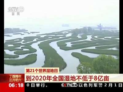 [视频] 第21个世界湿地日：到2020年全国湿地不低于8亿亩