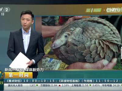 [视频]非法运输三十多只活穿山甲 两男子获刑