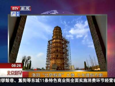 [视频]洛阳“比萨斜塔”大修 千年风霜侵蚀塔斜不倒