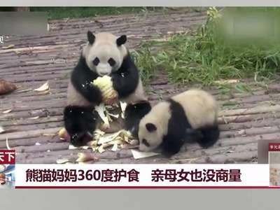[视频]熊猫妈妈360度护食 亲母女也没商量