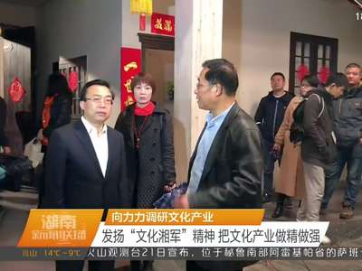 向力力调研文化产业 发扬“文化相军”精神 把文化产业做精做强