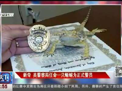 [视频]美警察局任命一只蜥蜴为正式警员