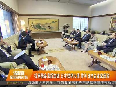 杜家毫会见新加坡 日本驻华大使 并与日本企业家座谈