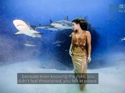 [视频]33岁模特与鲨鱼共舞拍大片 呼吁人们保护鲨鱼