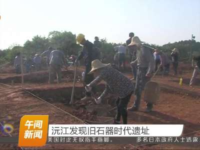 沅江发现旧石器时代遗址