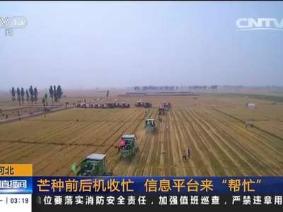[视频]河北：芒种前后机收忙 信息平台来“帮忙”