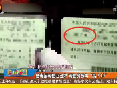 [视频]最奇葩驾驶证出炉 驾驶员竟叫