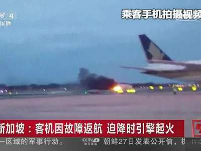 [视频]新加坡：客机因故障返航 迫降时引擎起火