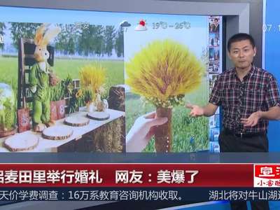 [视频]情侣麦田里举行婚礼 网友：美爆了