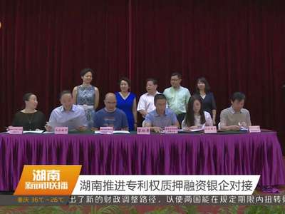 湖南推进专利权质押融资银企对接