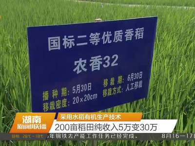 采用水稻有机生产技术 200亩稻田纯收入5万变30万