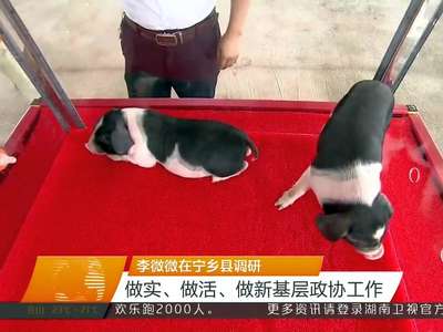 李微微在宁乡县调研 做实、做活、做新基层政协工作