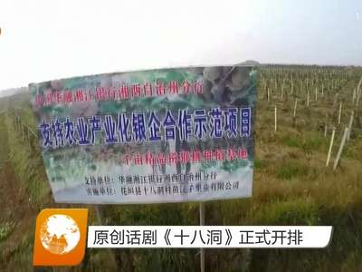 原创话剧《十八洞》正式开排