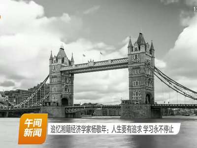 追忆湘籍经济学家杨敬年：人生要有追求 学习永不停止