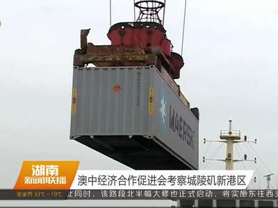 澳中经济合作促进会考察城陵矶新港区