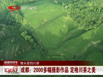 [视频]成都：2000多幅摄影作品 定格川茶之美
