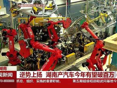 逆势上扬 湖南产汽车今年有望破百万